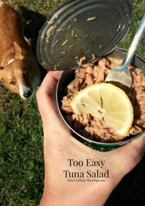 Too Easy Tuna Salad MLM